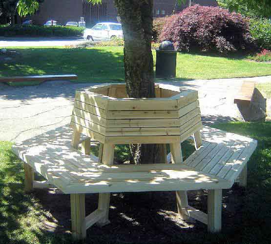 Tree Benches