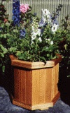 octagon.gif (408101 bytes)