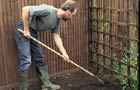 Raking the soil