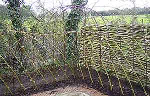 Willow fence