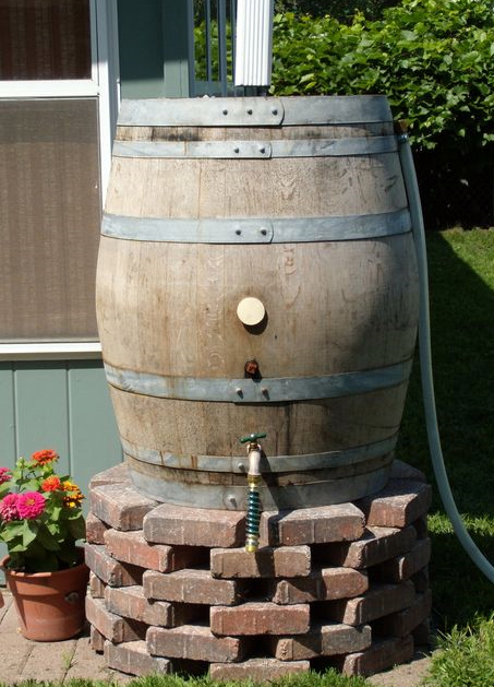 Rain Barrel