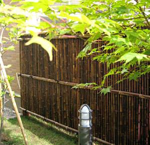 Bamboo Rolled Fencing