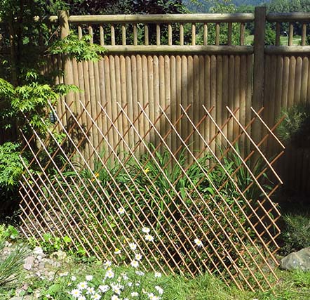 Peeled Willow Dual Pattern Trellis