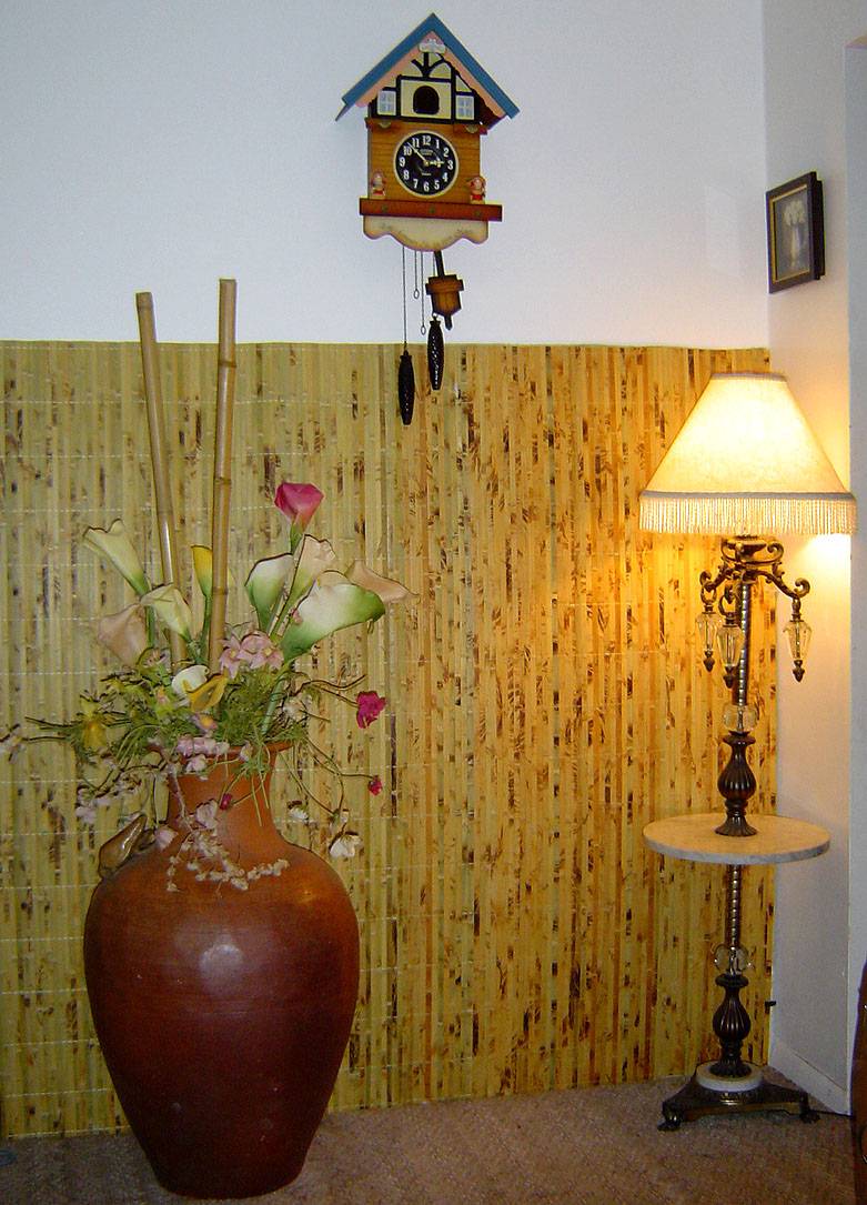 Hanging Bamboo Wall Covering